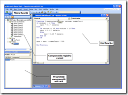 Mediul de lucru din Visual Basic Editor