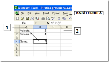 Exemplu inserare formula in Excel