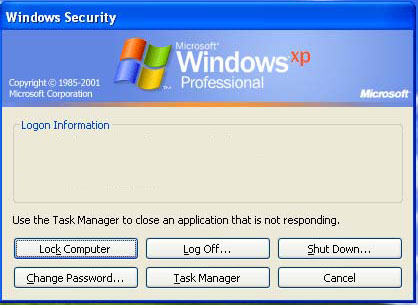 Windows Security Form